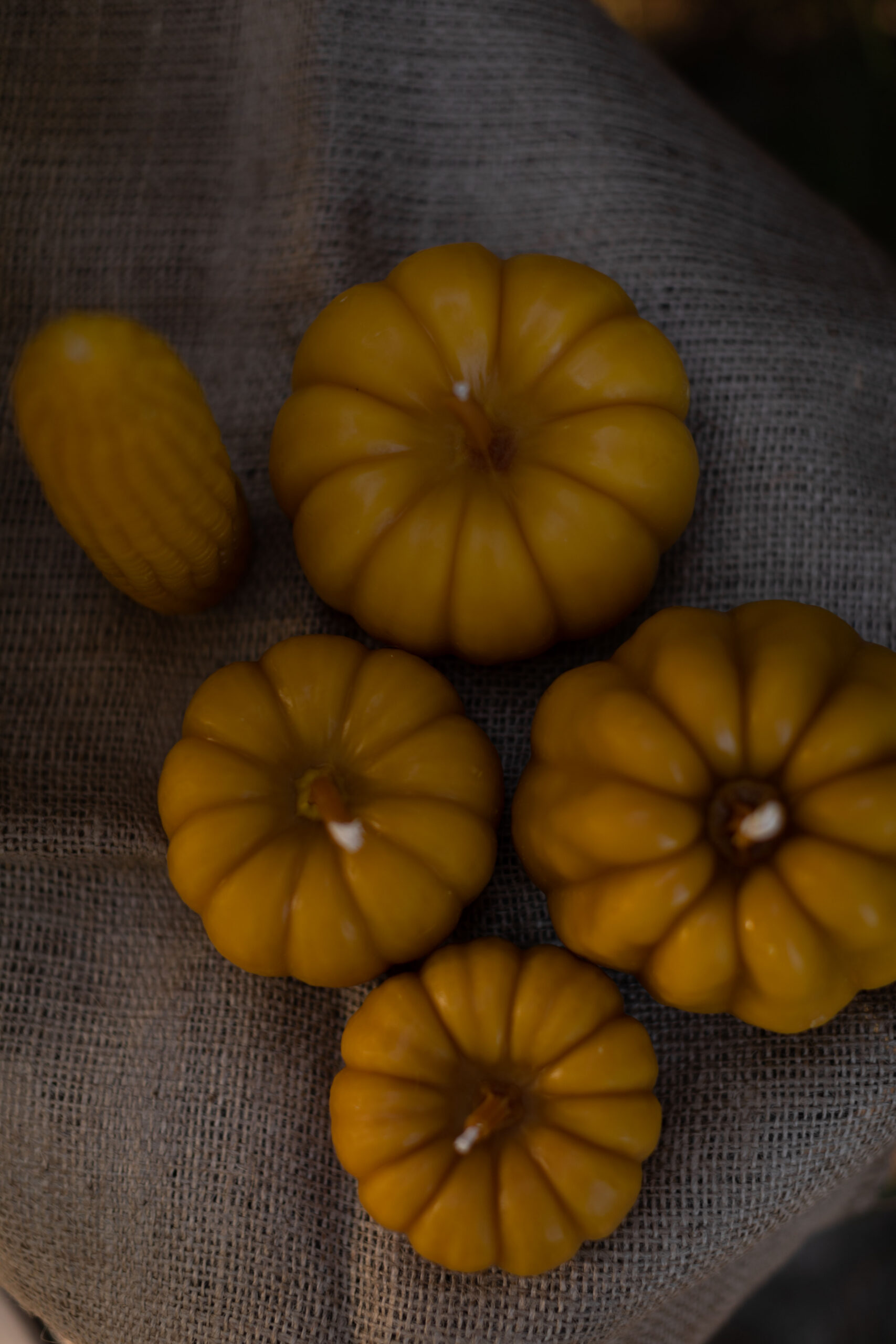 HARBUZ L - Зображення 3