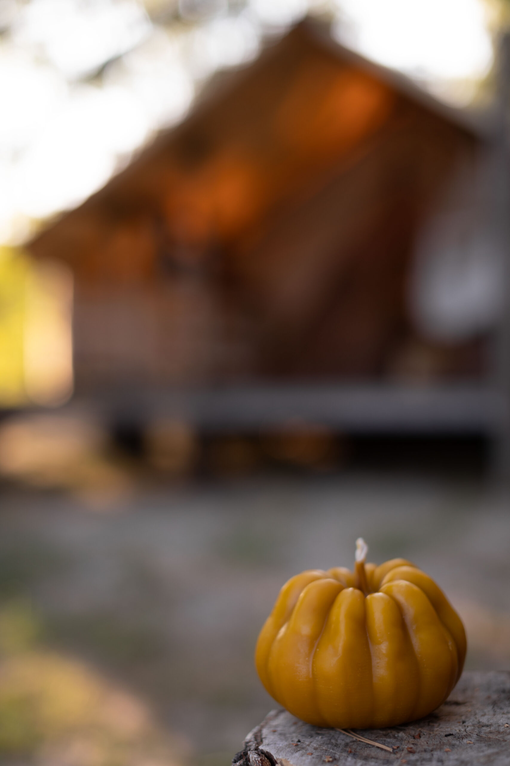 VELYKYI HARBUZ - Зображення 5