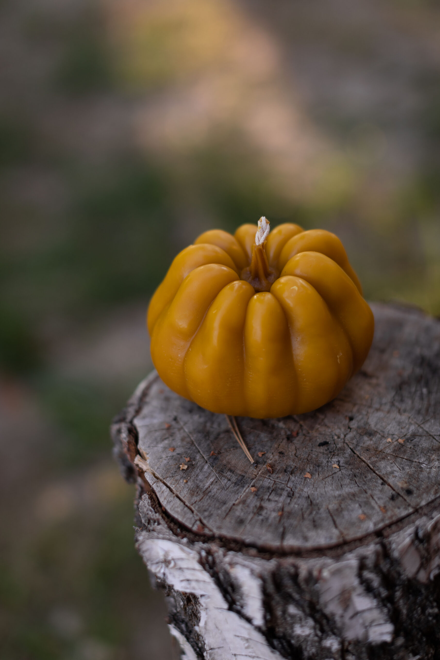 VELYKYI HARBUZ - Зображення 3