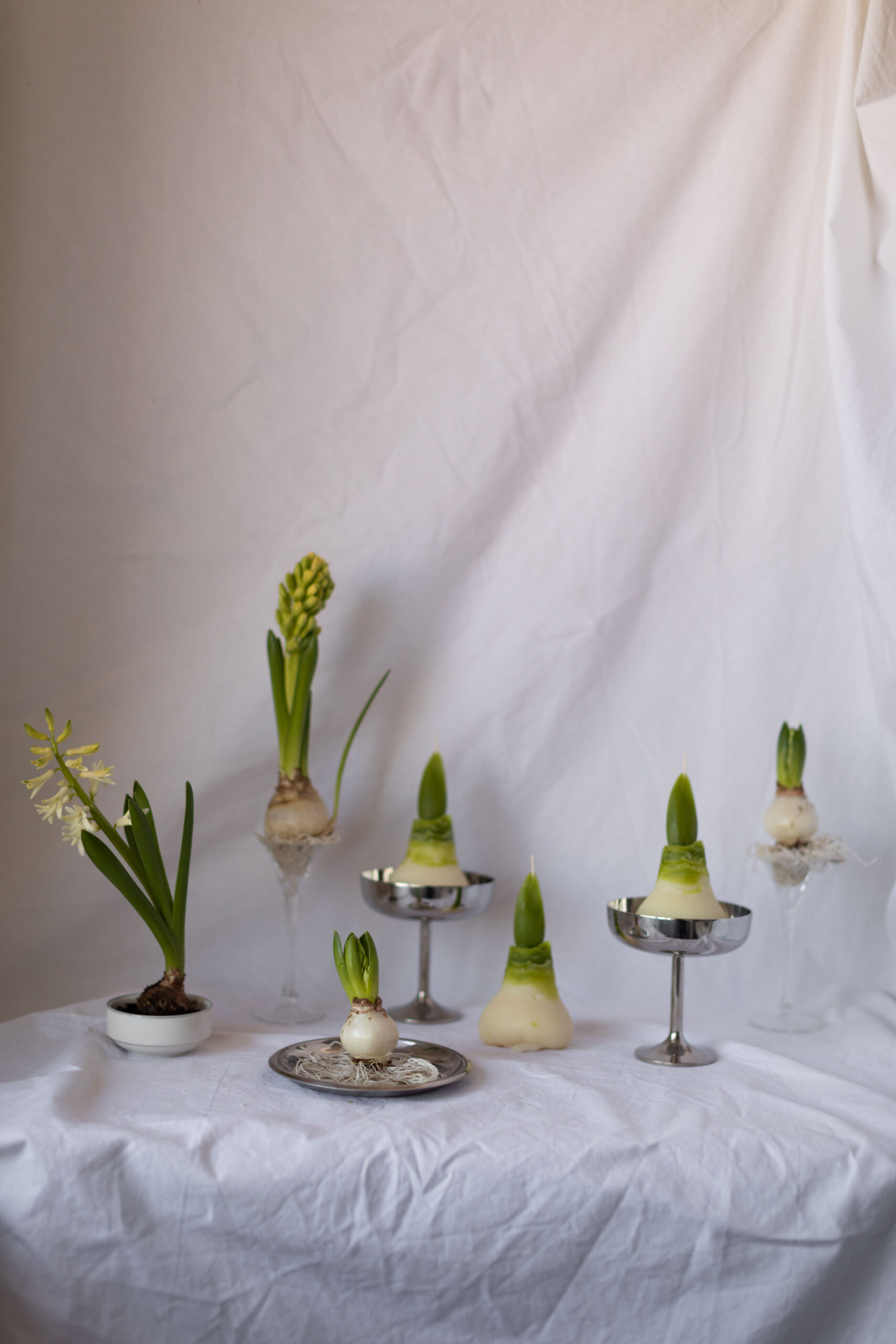 Бджолина свічка PERSHOTSVIT - Зображення 2