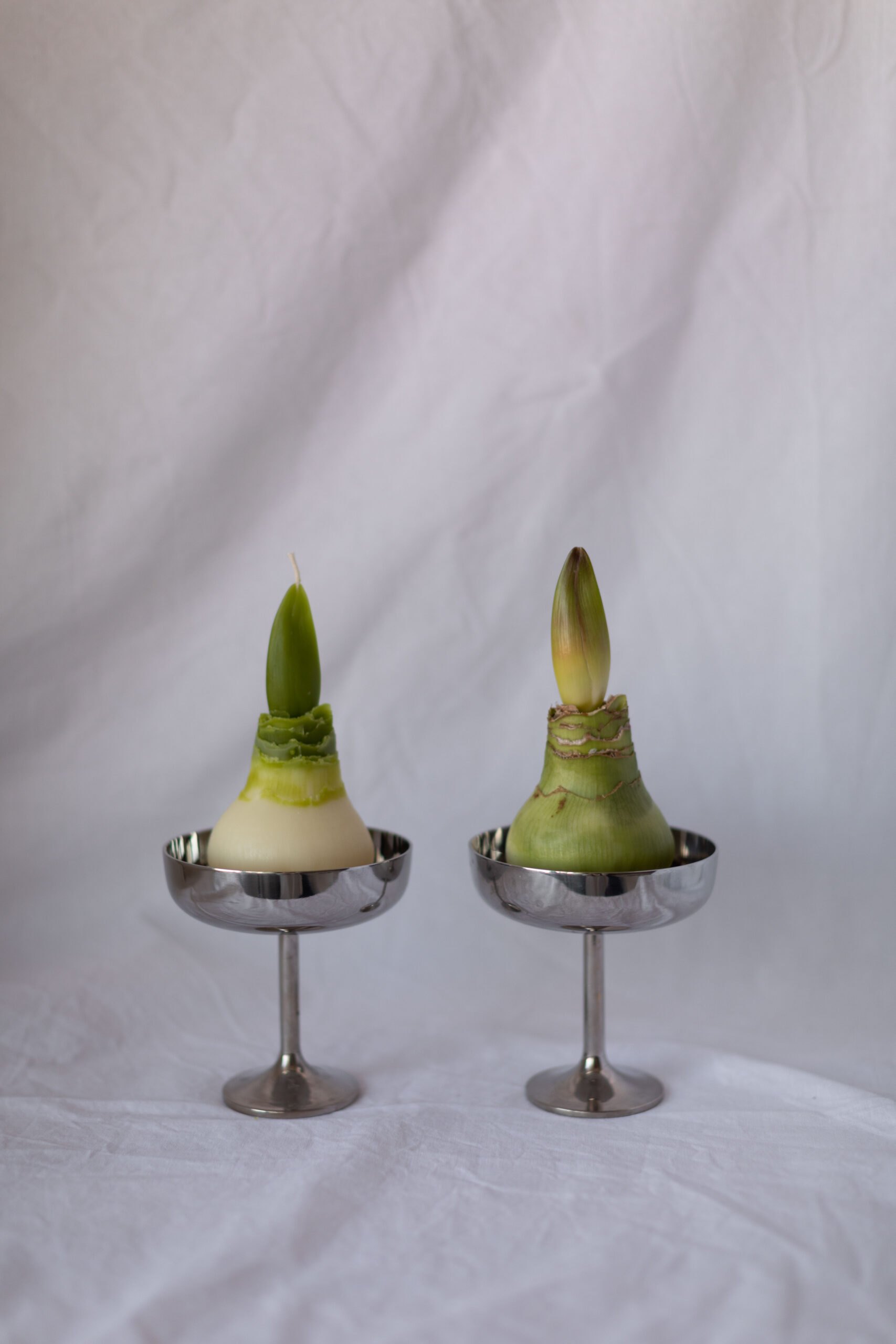 Бджолина свічка PERSHOTSVIT - Зображення 5