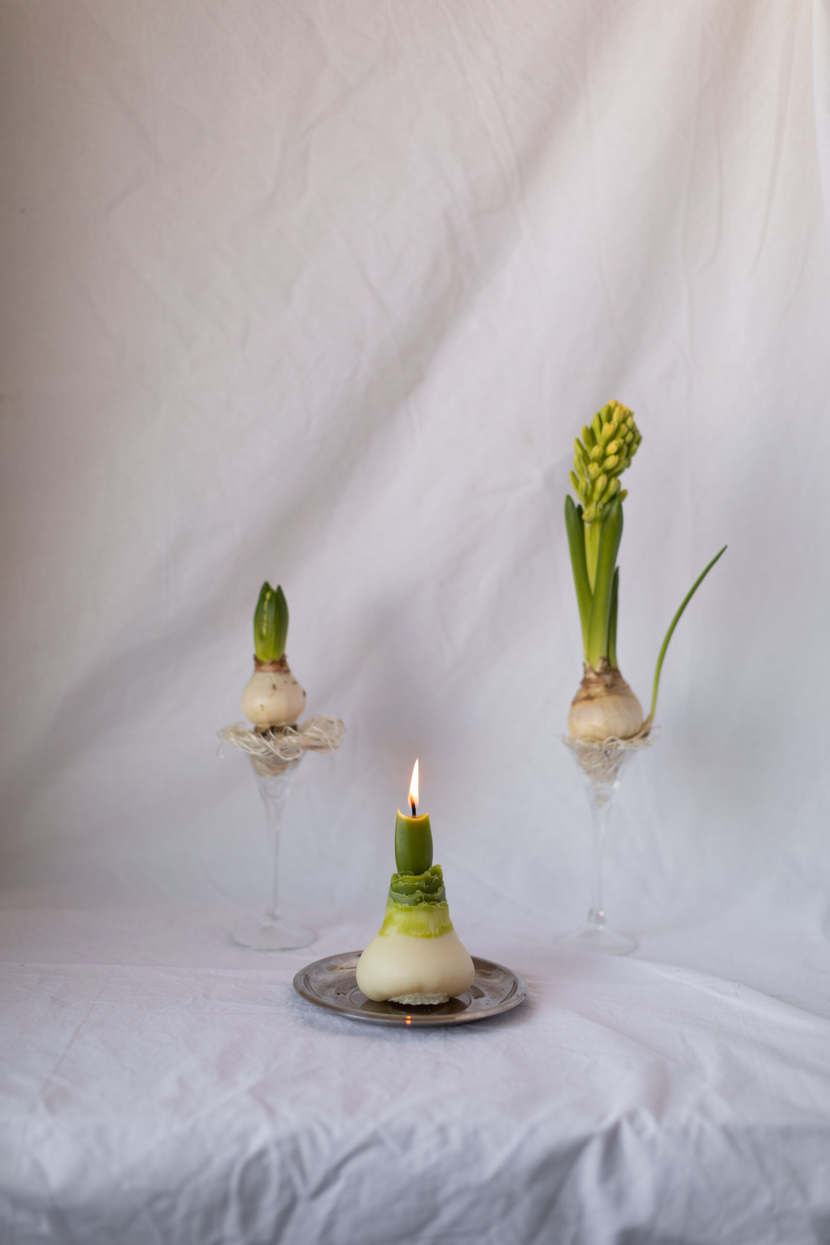 Бджолина свічка PERSHOTSVIT - Зображення 3