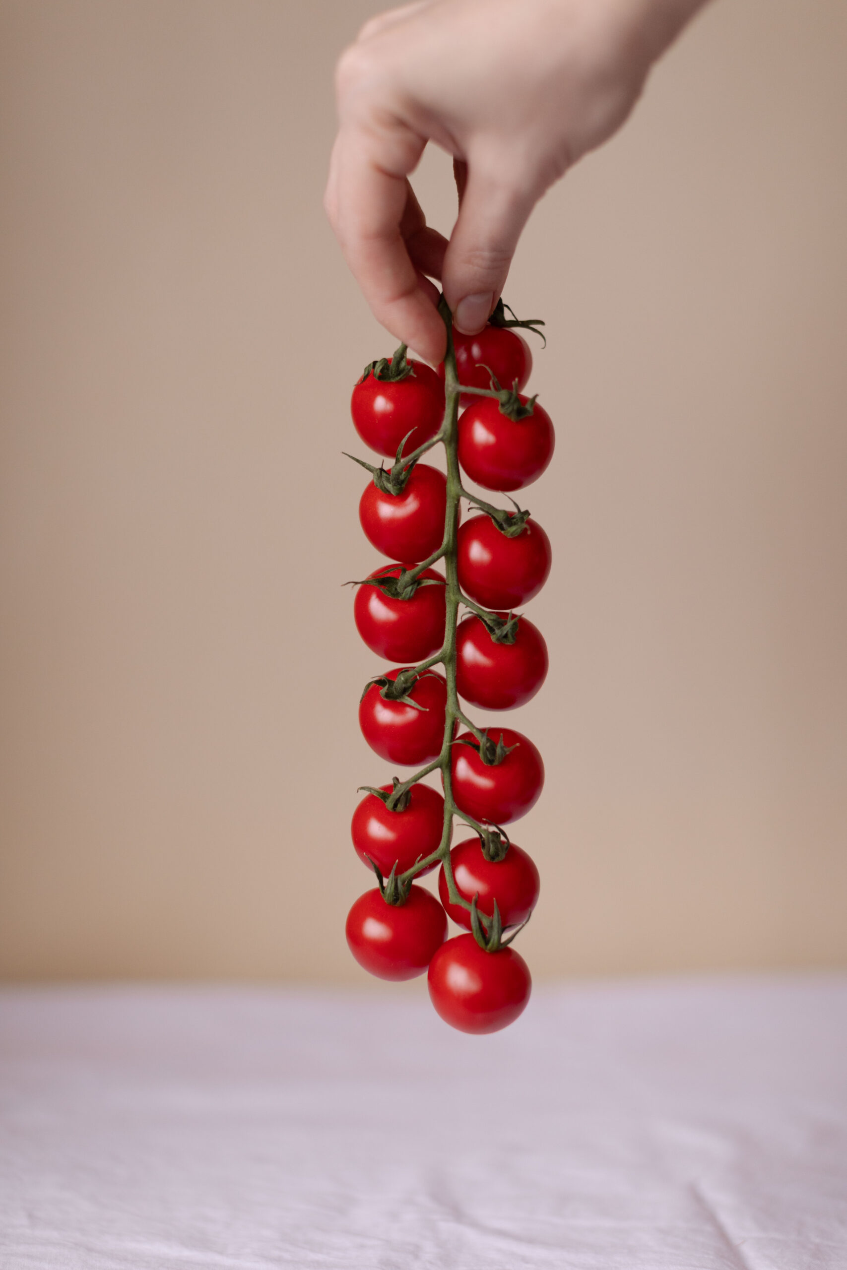 TOMAT - Зображення 2