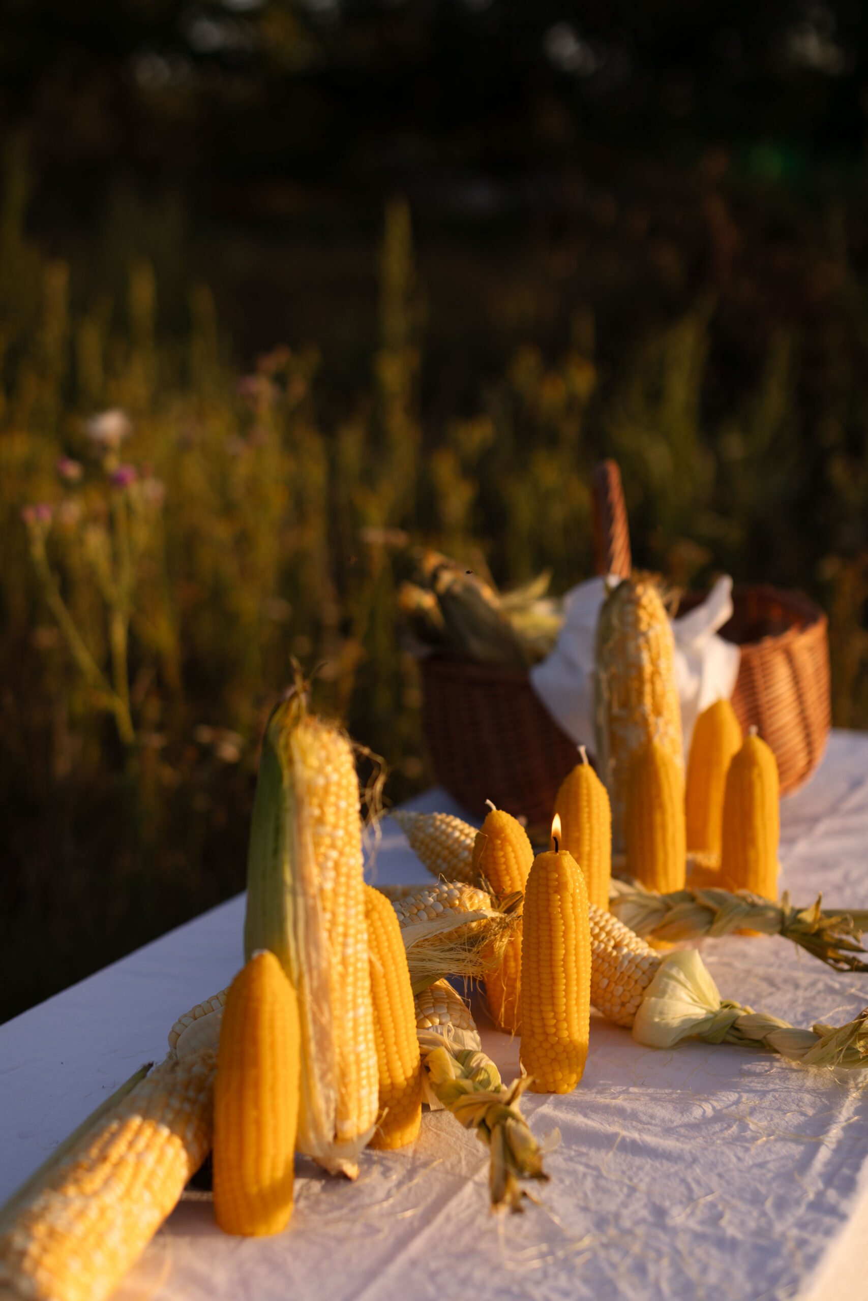 KUKURUDZA - Зображення 4