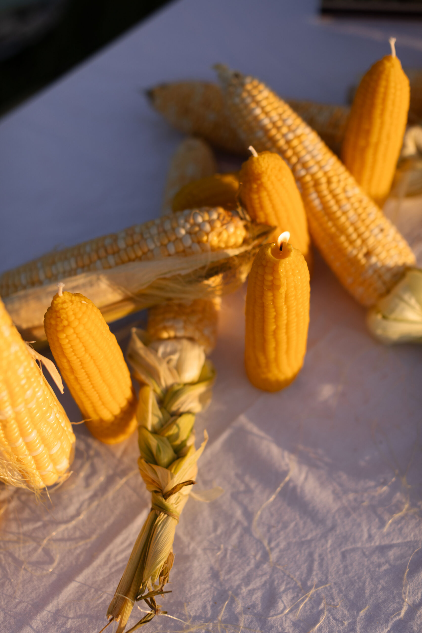 KUKURUDZA - Зображення 6