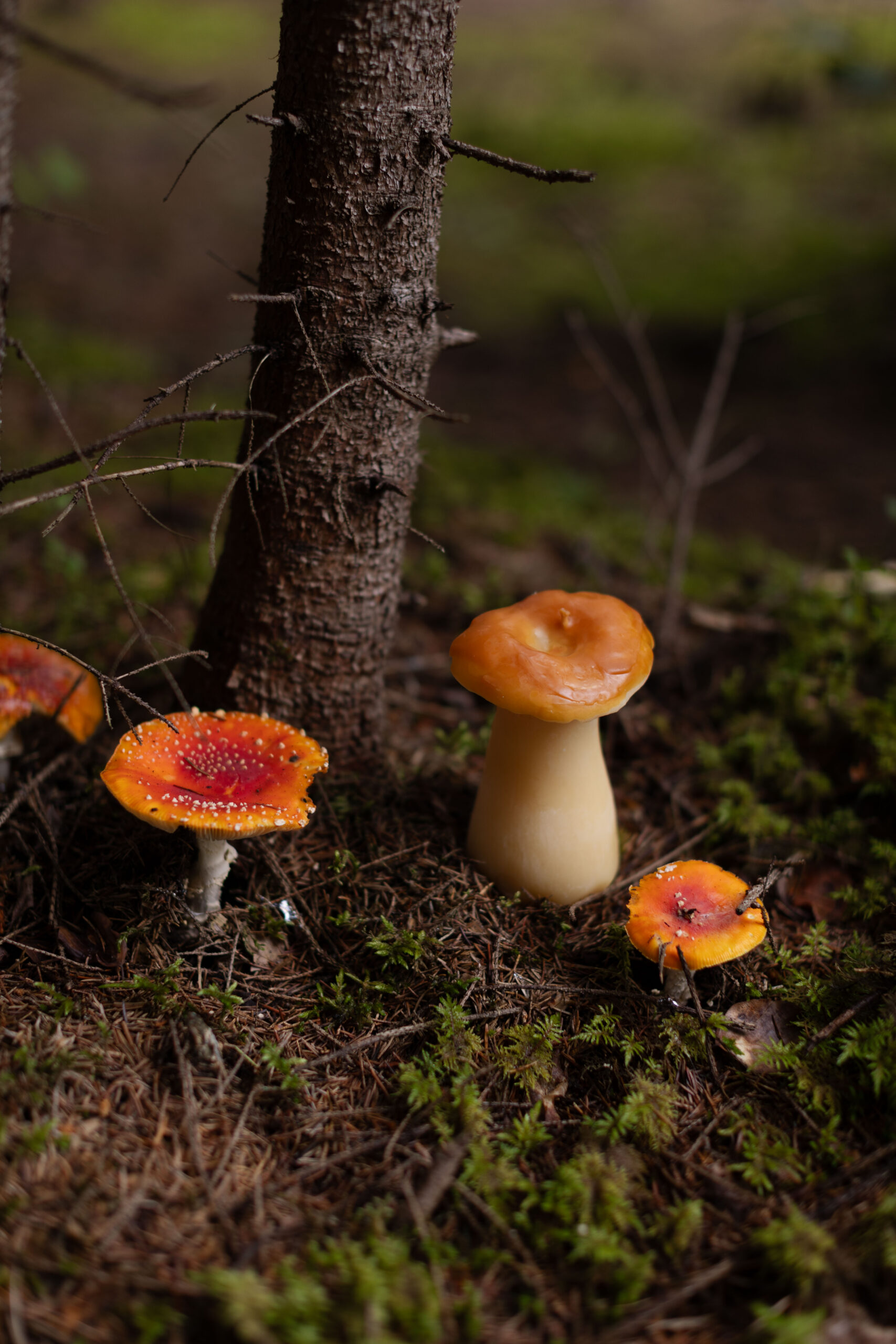 Бджолина свічка HRYB L