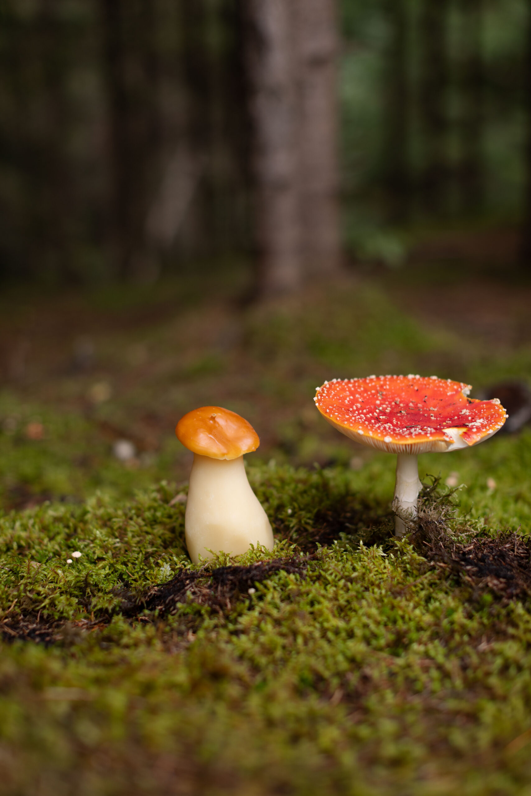 Бджолина свічка HRYB M