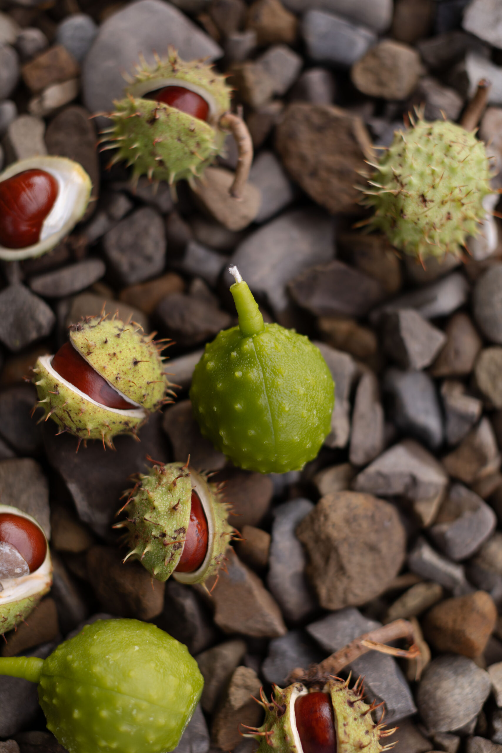 Бджолина свічка КАШТАН - Зображення 3