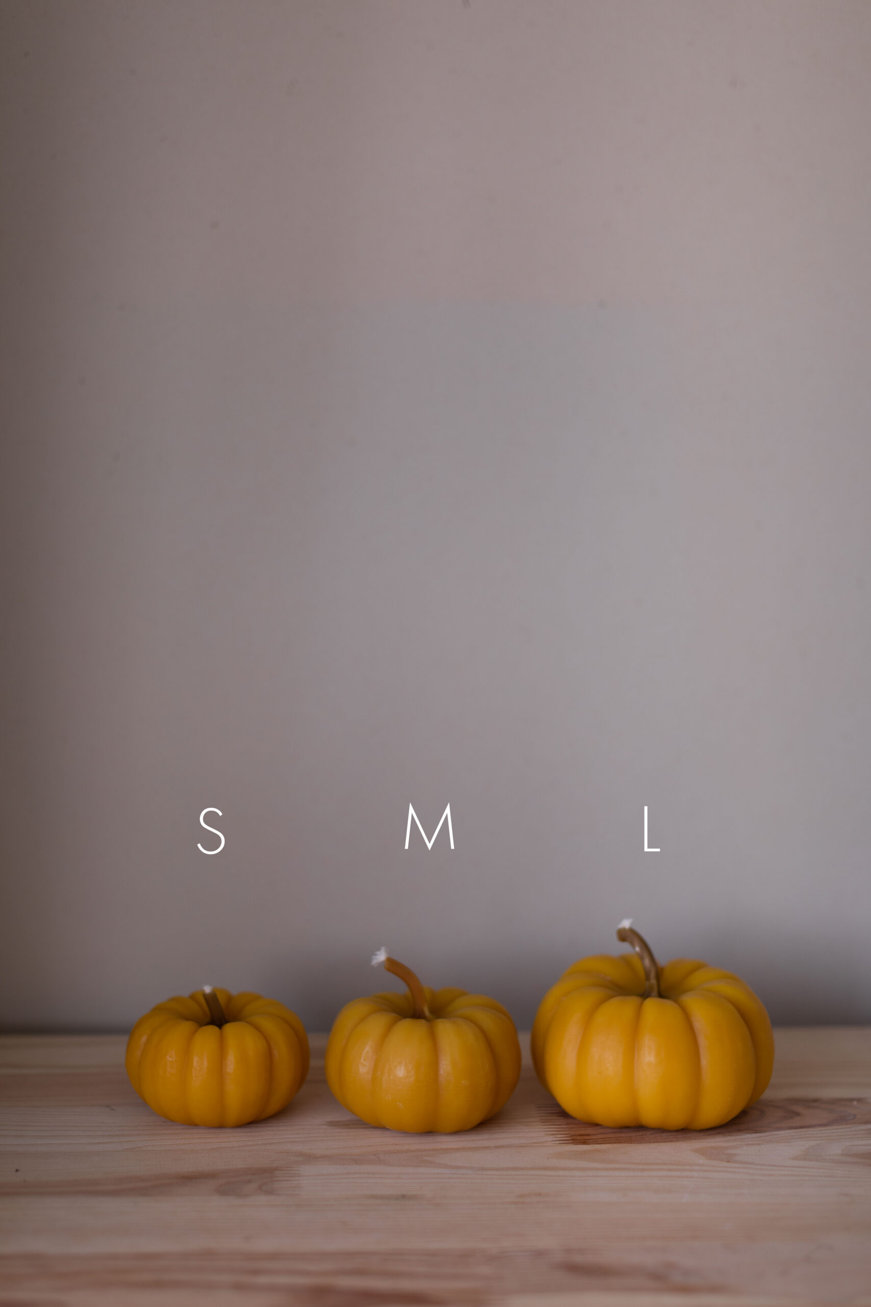 HARBUZ L - Зображення 5